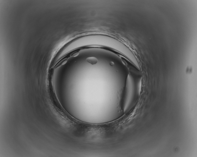 X0000095900248200801111216