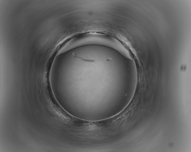 X0000095900249200801111216