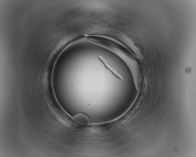 X0000095900250200801111216