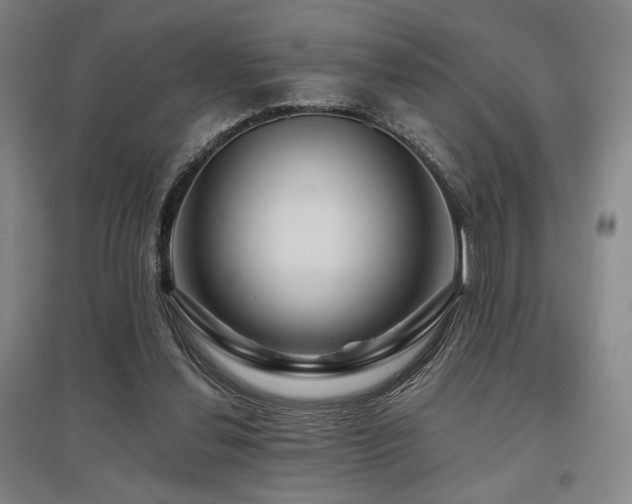 X0000095900252200801111216