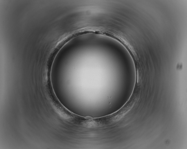 X0000095900253200801111216