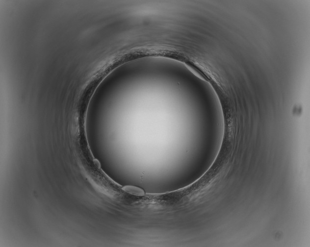 X0000095900254200801111216