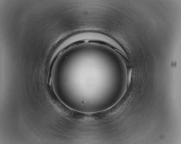 X0000095900256200801111216