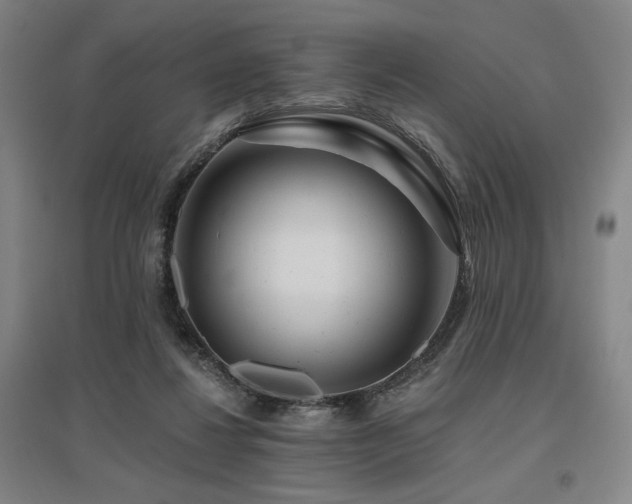 X0000095900260200801111216