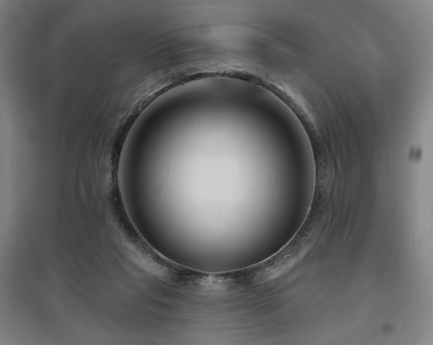X0000095900261200801111216