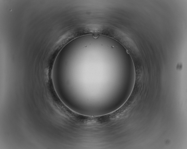 X0000095900262200801111216