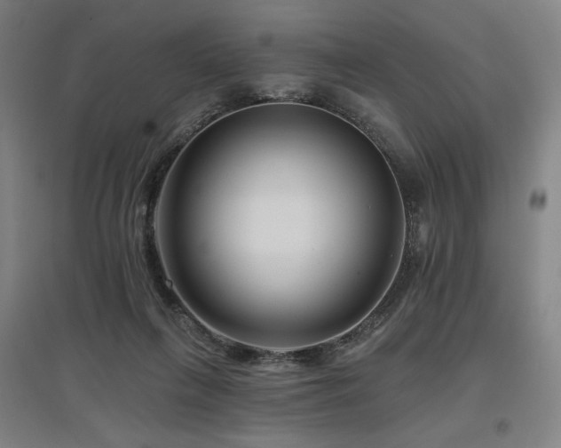 X0000095900263200801111216