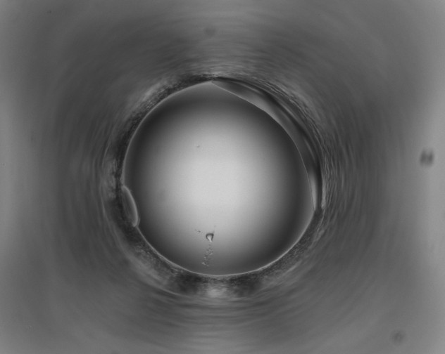 X0000095900264200801111216