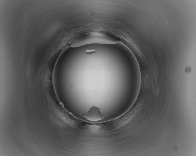 X0000095900265200801111216
