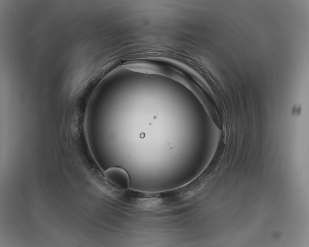 X0000095900266200801111216