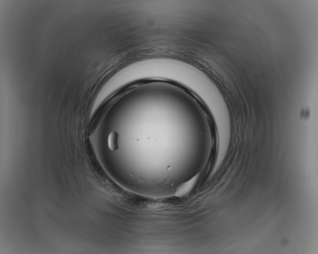 X0000095900268200801111216