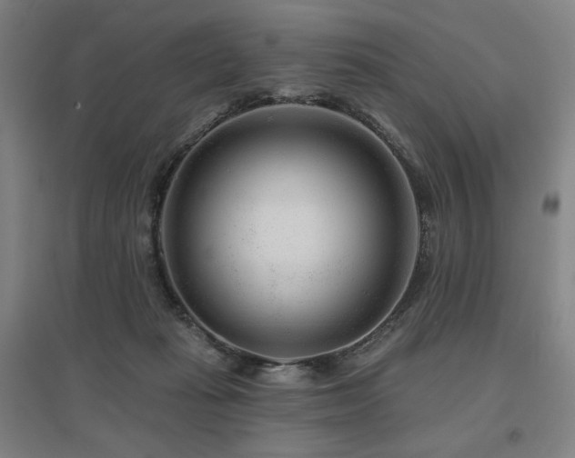 X0000095900269200801111216