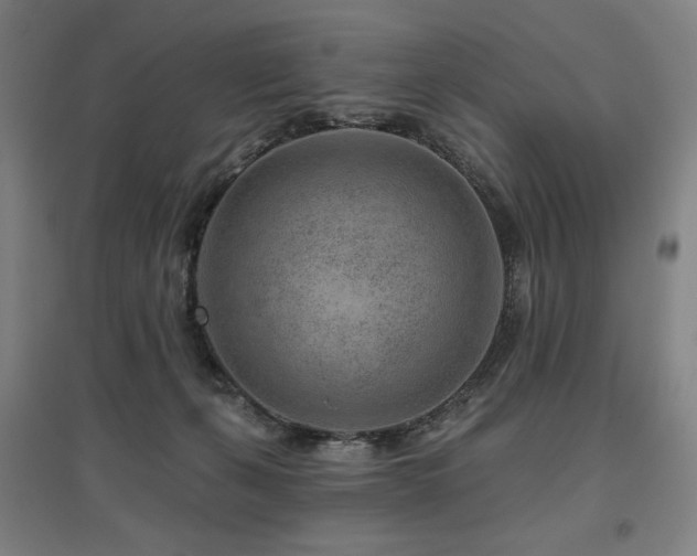 X0000095900271200801111216