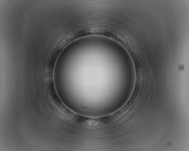 X0000095900272200801111216