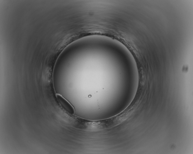 X0000095900273200801111216