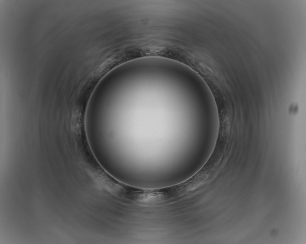 X0000095900274200801111216