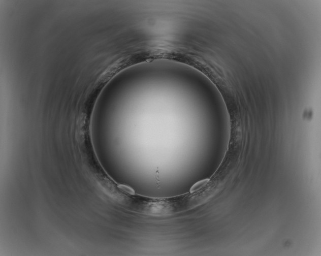 X0000095900275200801111216