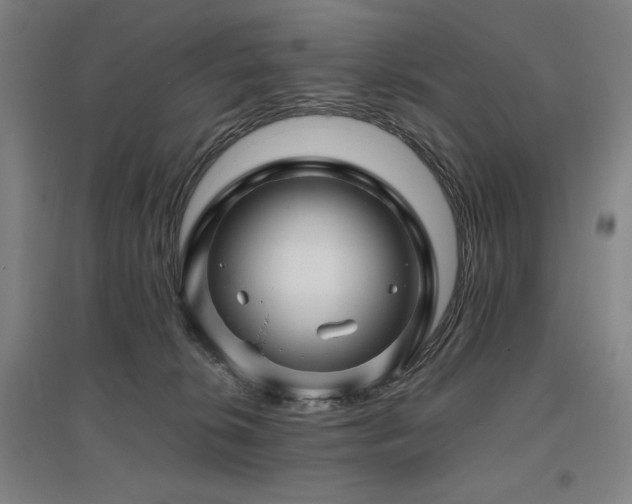 X0000095900276200801111216