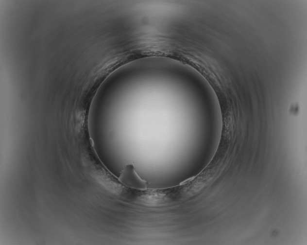 X0000095900278200801111216