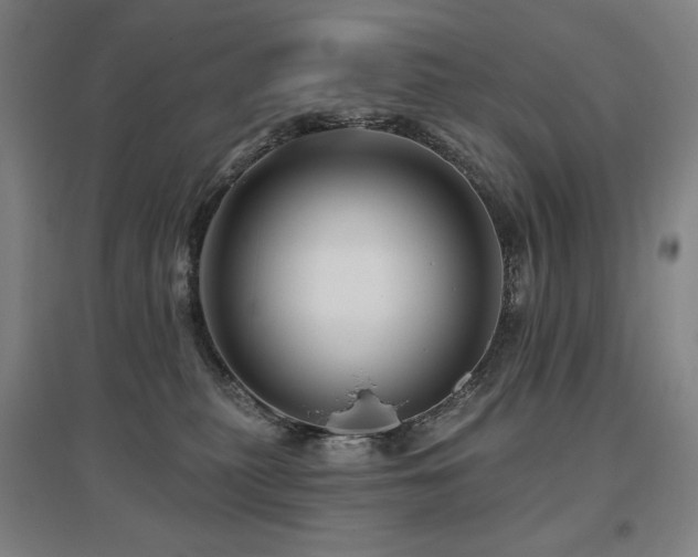 X0000095900279200801111216