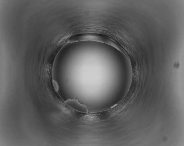 X0000095900280200801111216