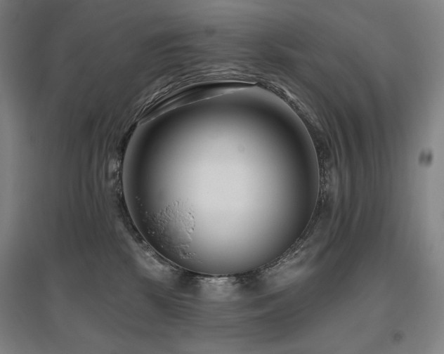 X0000095900281200801111216