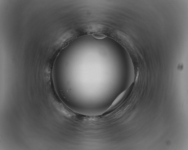 X0000095900282200801111216