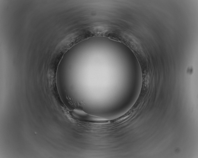 X0000095900283200801111216
