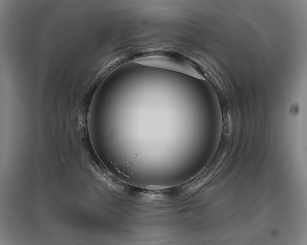 X0000095900284200801111216