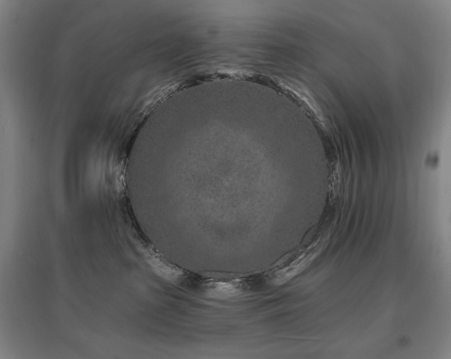 X0000095900285200801111216