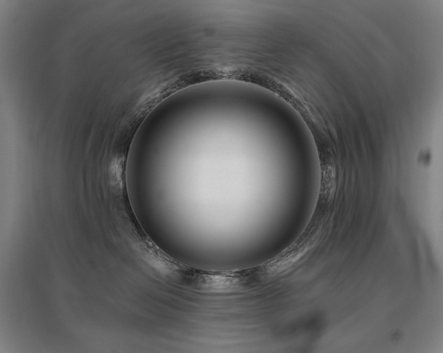 X0000095900286200801111216