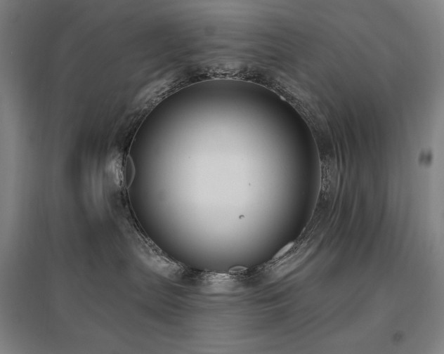 X0000095900287200801111216