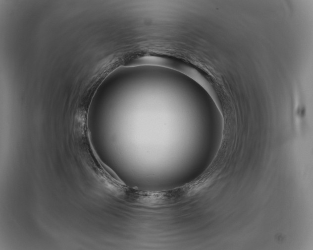 X0000095900288200801111216