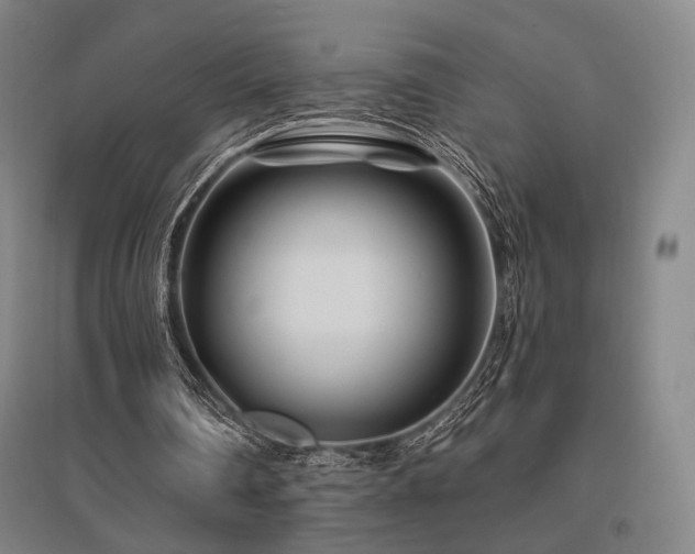 X0000095900290200801111216