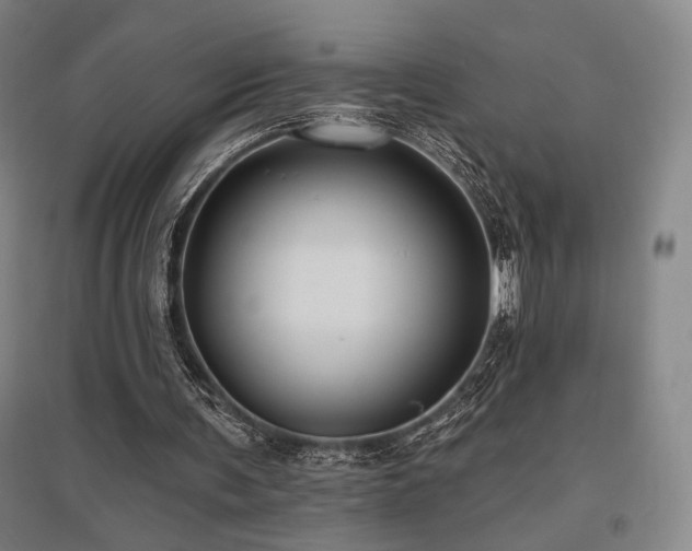 X0000095900291200801111216
