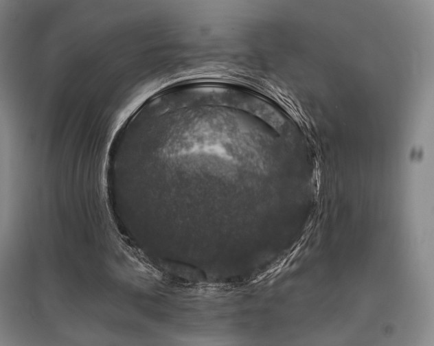 X0000095900292200801111216