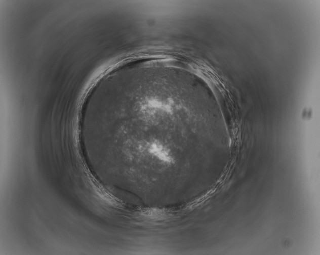 X0000095900293200801111216