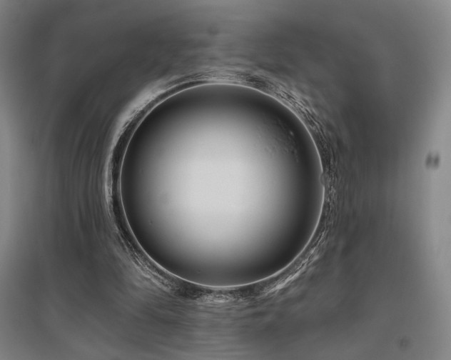 X0000095900294200801111216