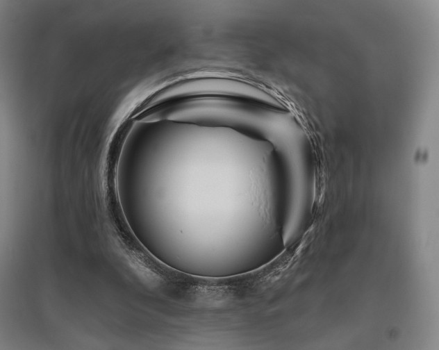 X0000095900296200801111216