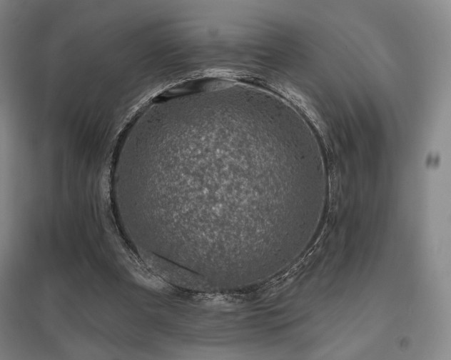 X0000095900297200801111216
