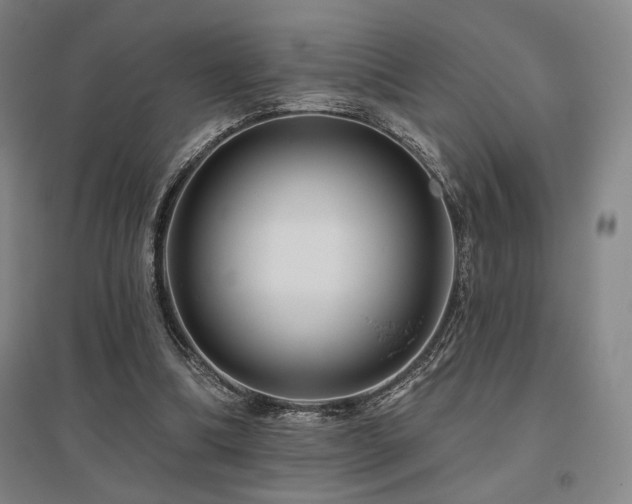 X0000095900298200801111216