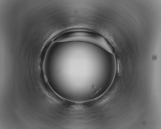 X0000095900300200801111216