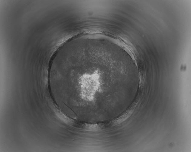 X0000095900301200801111216