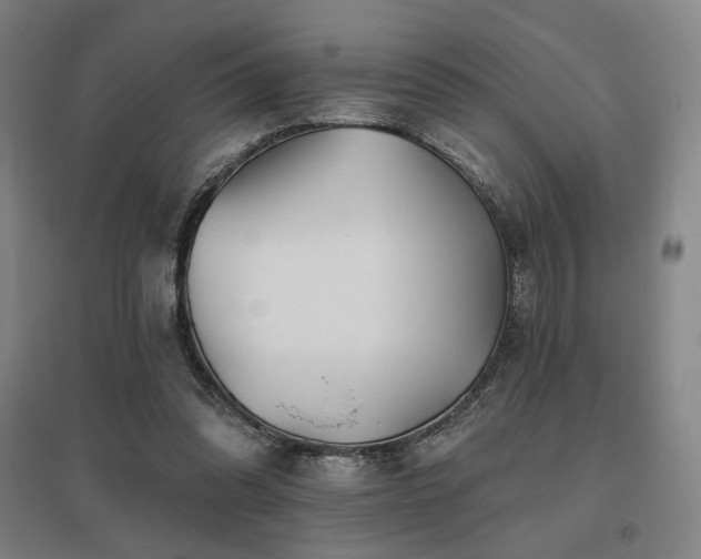 X0000095900302200801111216