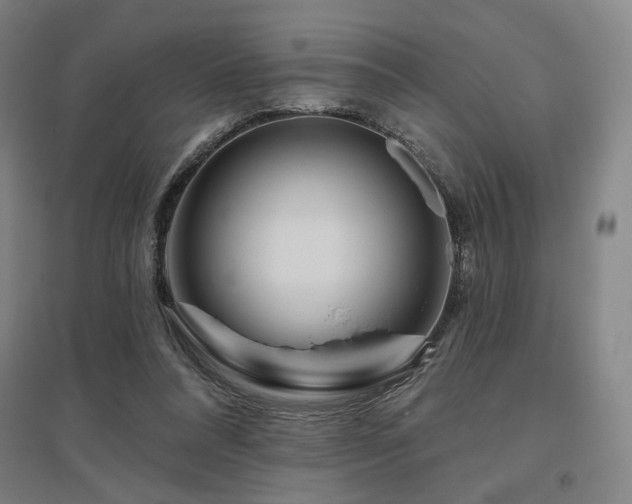 X0000095900304200801111216