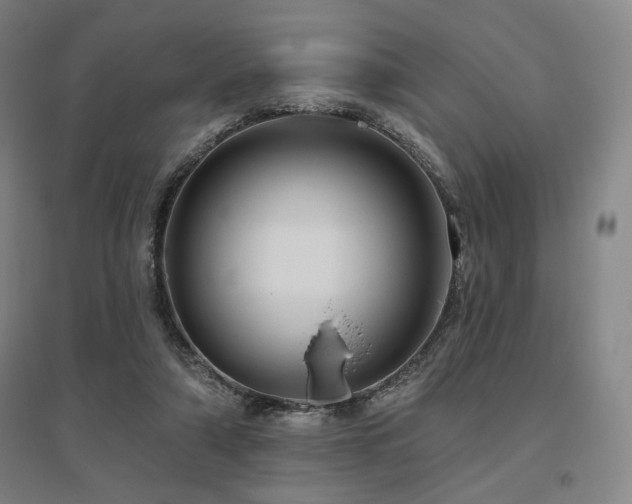 X0000095900306200801111216