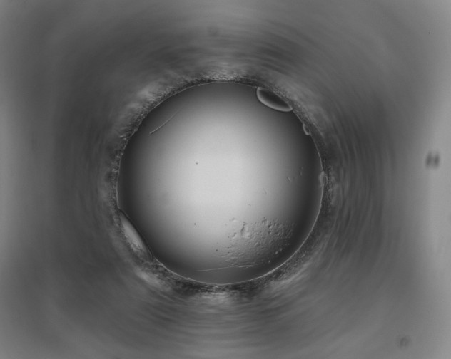 X0000095900307200801111216