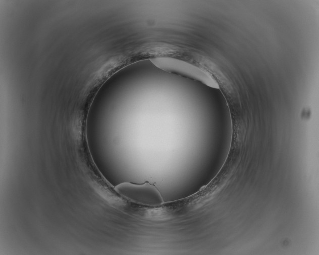 X0000095900309200801111216