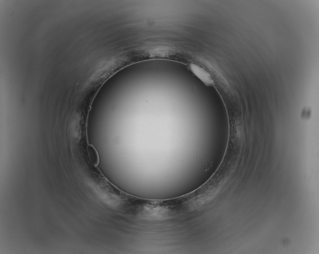 X0000095900311200801111216