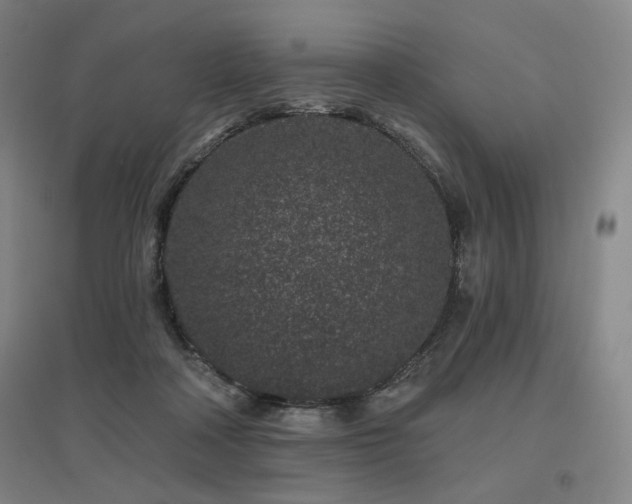 X0000095900314200801111215
